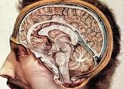 Εγκεφαλοπάθεια και χρόνιο σύνδρομο κόπωσης