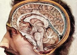 Πως οι όγκοι επηρεάζουν το εγκεφαλονωτιαίο υγρό;