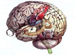 Νευρολογία-Ψυχιατρική-Εγκεφαλικά επεισόδια