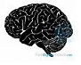 Νευρολογία-ψυχιατρική- μνήμη
